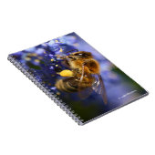 美しいハネビーの上のカリフォルニア薄紫 ノートブック (右側)