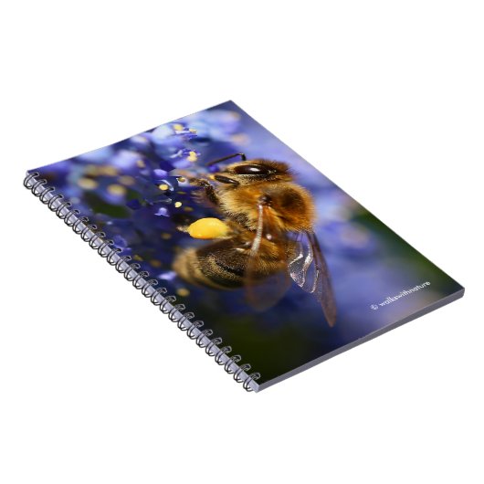 美しいハネビーの上のカリフォルニア薄紫 ノートブック (右側)