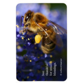 美しいハネビーの上のカリフォルニア薄紫 マグネット (縦)