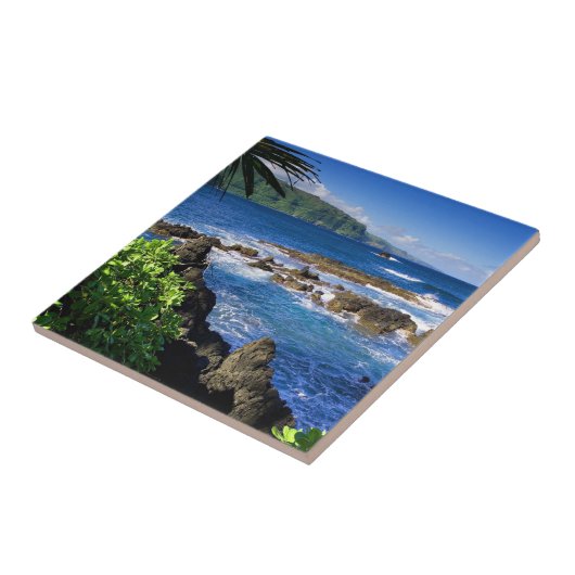 美しいハワイ タイル (側面)