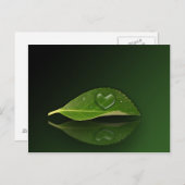 美しいハート状の水滴 ポストカード (正面/裏面)