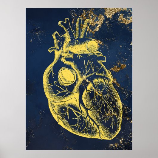 美しいハート解剖図 ポスター (正面)