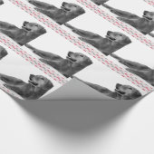 美しいハート ラッピングペーパー (角)