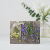 美しいハーブの背景 ポストカード (スタンド正面)