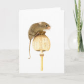 美しいハーベストマウス カード (正面)