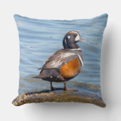 美しいハーレクインダックオンビーチショアライン クッション (正面)