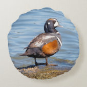 美しいハーレクイン・ダックが岩の上に ラウンドクッション (裏面)