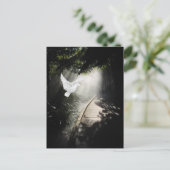 美しいハ飛んでいるト ポストカード (スタンド正面)