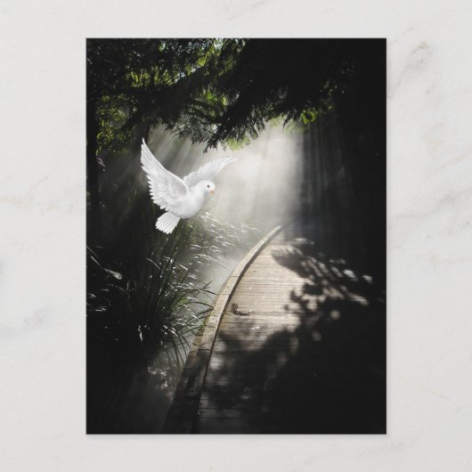 美しいハ飛んでいるト ポストカード (正面)