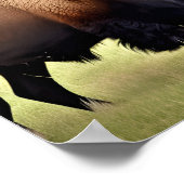 美しいバイソン ポスター (角)