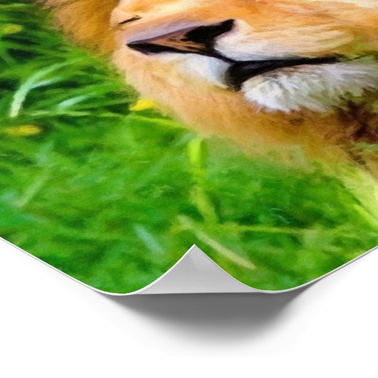 美しいバキング雄ライオンのアフリカ野生動物 ポスター (角)