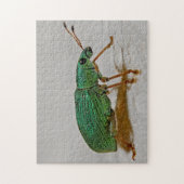 美しいバグカラフルWeevilマクロフォトパズル ジグソーパズル (縦)