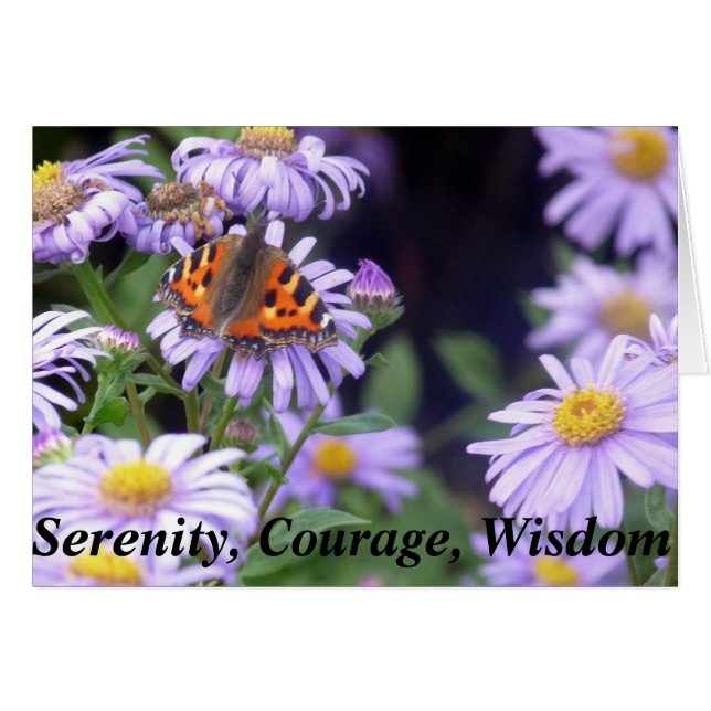 美しいバタフライオンフラワーセレニティ (正面横)