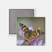 美しいバタフライマグネット マグネット (正面/裏面)