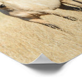 美しいバックスキンホース ポスター (角)