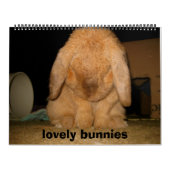 美しいバニー カレンダー (カバー)