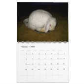 美しいバニー カレンダー (2月 2026)