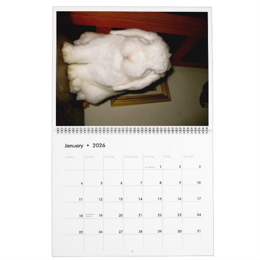 美しいバニー カレンダー (1月 2026)