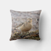 美しいバフブレストのサンドパイパーでビーチ クッション (裏面)