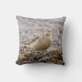 美しいバフブレストのサンドパイパーでビーチ クッション (正面)