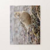 美しいバフブレストのサンドパイパーでビーチ ジグソーパズル (縦)