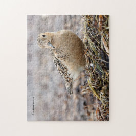 美しいバフブレストのサンドパイパーでビーチ ジグソーパズル