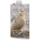 美しいバフブレストのサンドパイパーでビーチ フラスク (左)