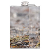 美しいバフブレストのサンドパイパーでビーチ フラスク (裏面)