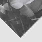 美しいバラとローズブドブラックアンドホワイトフローラ 薄葉紙 (詳細)