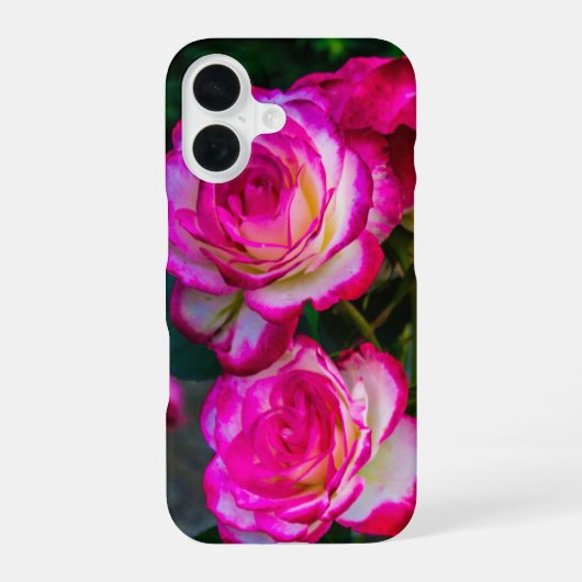 美しいバラのCase-Mate iPhoneケース iPhone 16ケース (裏面)
