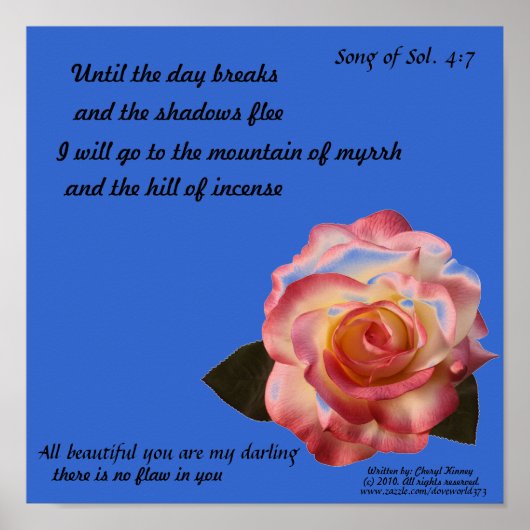 美しいバラポスター ポスター (正面)