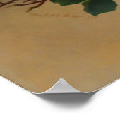 美しいバラポスター ポスター (角)