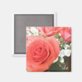 美しいバラ磁石 マグネット (正面/裏面)