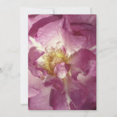 美しいバラ結婚写真のカード 招待状 (裏面)