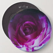 美しいバラ花 缶バッジ (正面&裏面)