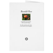 美しいバラ (裏面)