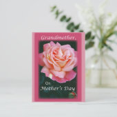 美しいバラ ポストカード (スタンド正面)