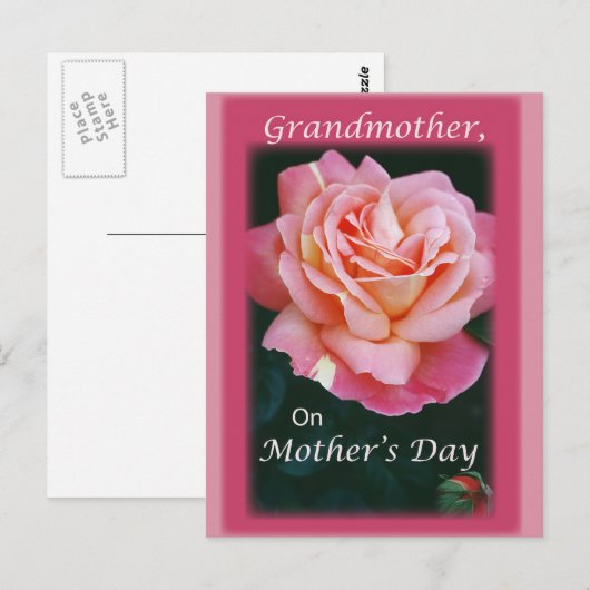 美しいバラ ポストカード (正面/裏面)