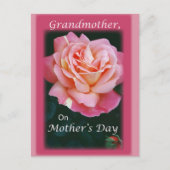 美しいバラ ポストカード (正面)