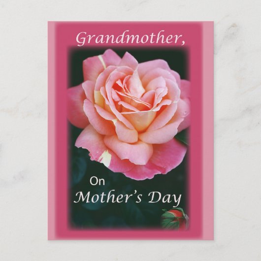 美しいバラ ポストカード (正面)