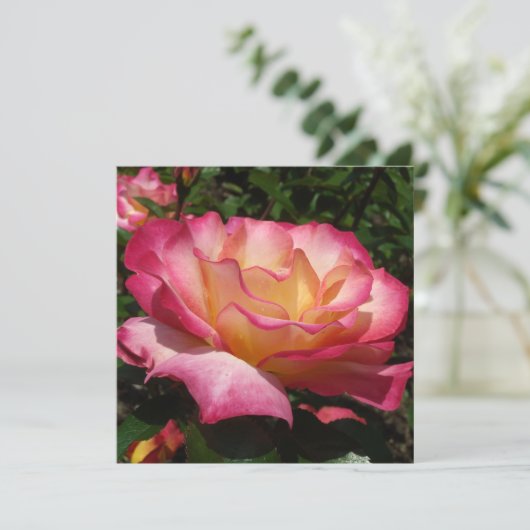 美しいバラ 招待状 (スタンド正面)