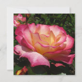 美しいバラ 招待状 (正面)