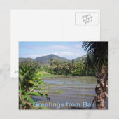 美しいバリの水田 ポストカード (正面/裏面)
