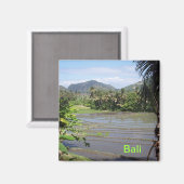 美しいバリの水田 マグネット (正面/裏面)