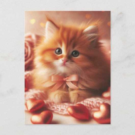 美しいバレンタインのキッテンのはがき ポストカード (正面)