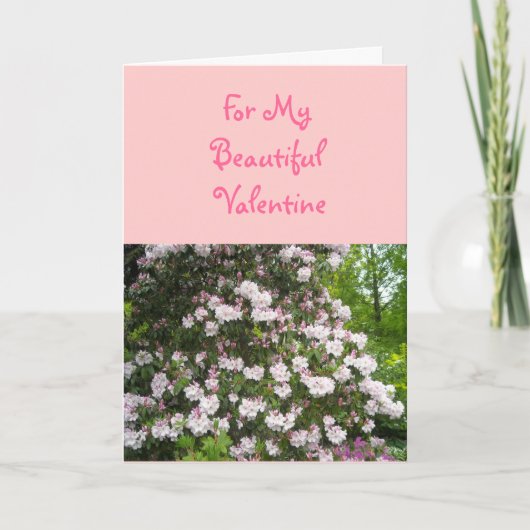 美しいバレンタイン シーズンカード (正面)