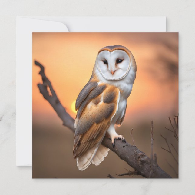 美しいバーンドウル (正面)