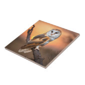 美しいバーンドウル タイル (側面)