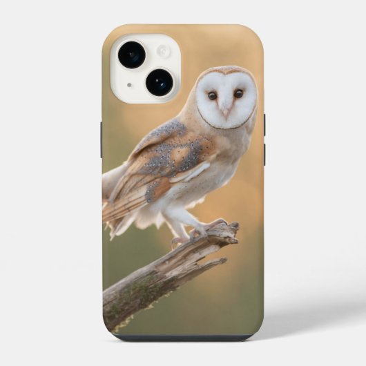 美しいバーンドウル iPhoneケース (裏面)