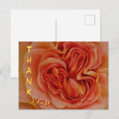 美しいパステルカラーのバラのクローズアップ サンクス ポストカード (正面/裏面)